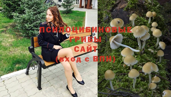 гидра Липки