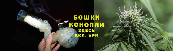 PSILOCYBIN Заволжье