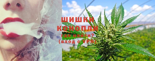 PSILOCYBIN Лиски