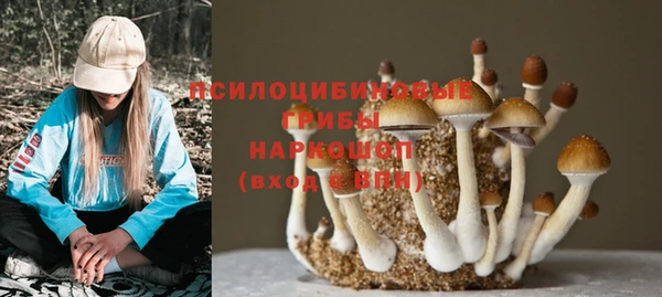 трава Лихославль