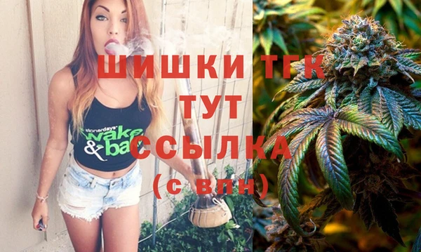 PSILOCYBIN Лиски