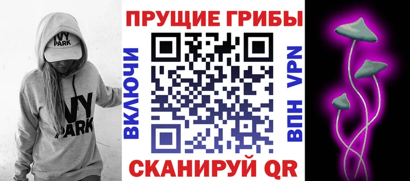 закладка  даркнет Telegram  Псилоцибиновые грибы Psilocybe  Курганинск 