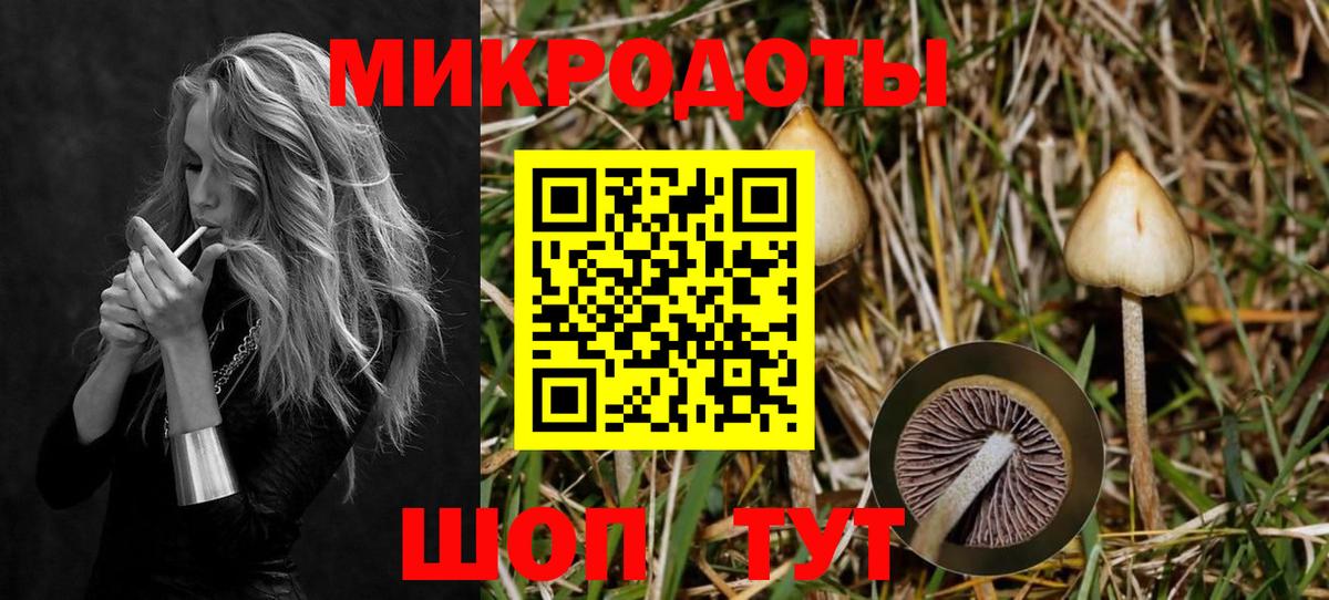 Псилоцибиновые грибы мицелий Курганинск