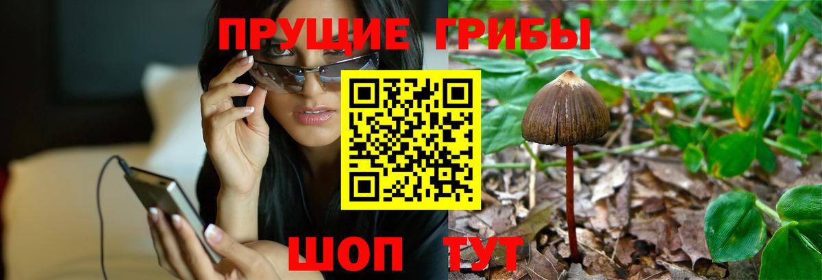 Псилоцибиновые грибы мухоморы  Псилоцибиновые грибы MAGIC MUSHROOMS  Курганинск 